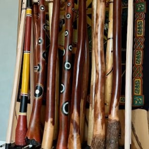 Didgeridoo kopen
