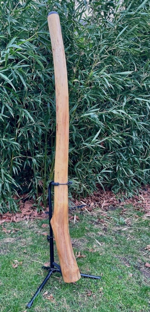 Didgeridoo kopen Sacred Beginnings