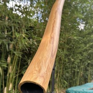 Didgeridoo Patience