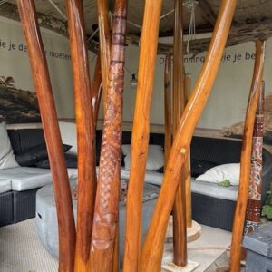 Eucalyptus Didgeridoo's - Batch juli 2026